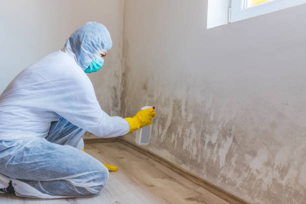 Mold inspector in Bainbridge performing thermal imaging